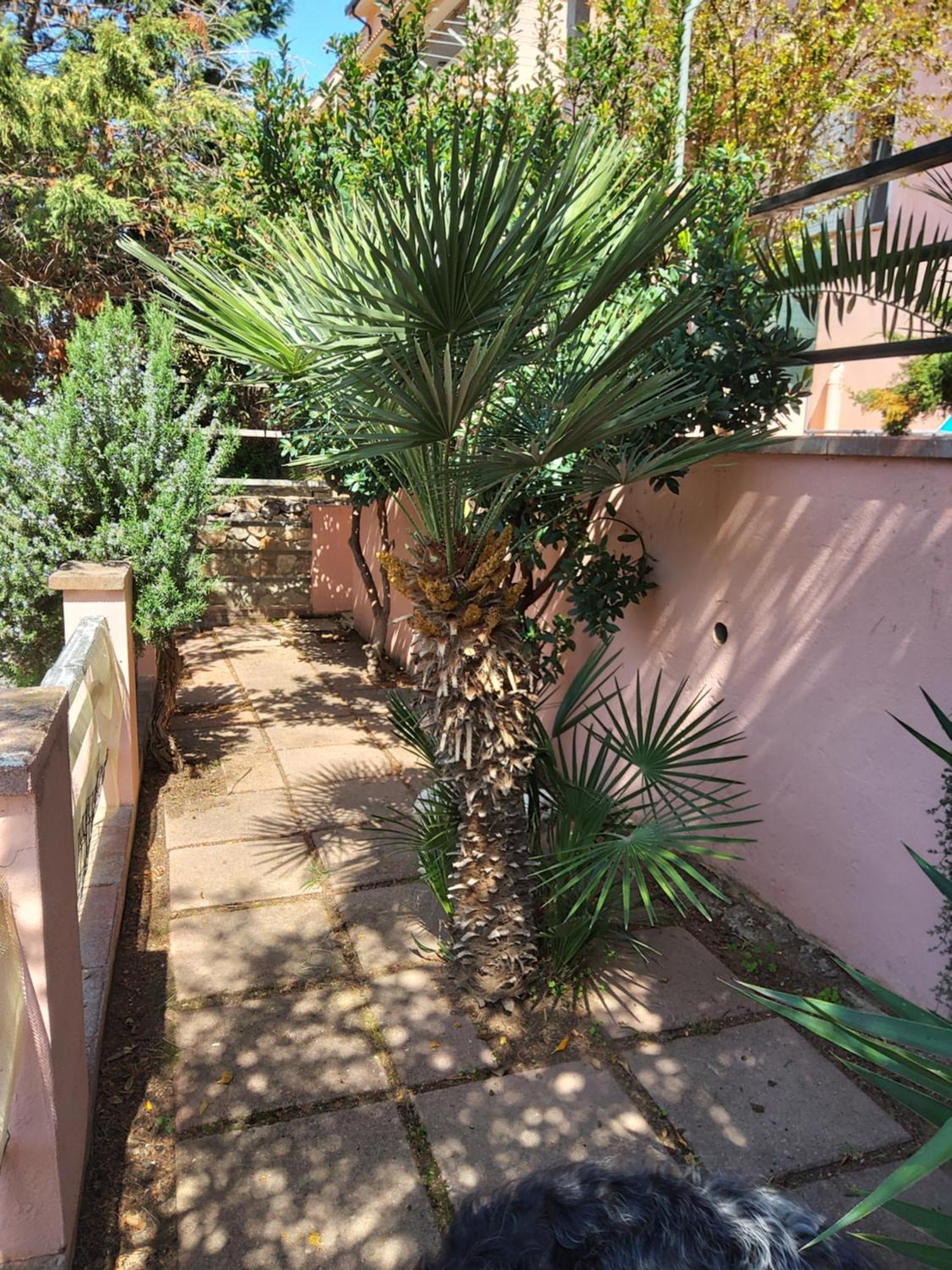 Casa Rosa I.U.N Q9637 Apartment Buggerru Luaran gambar